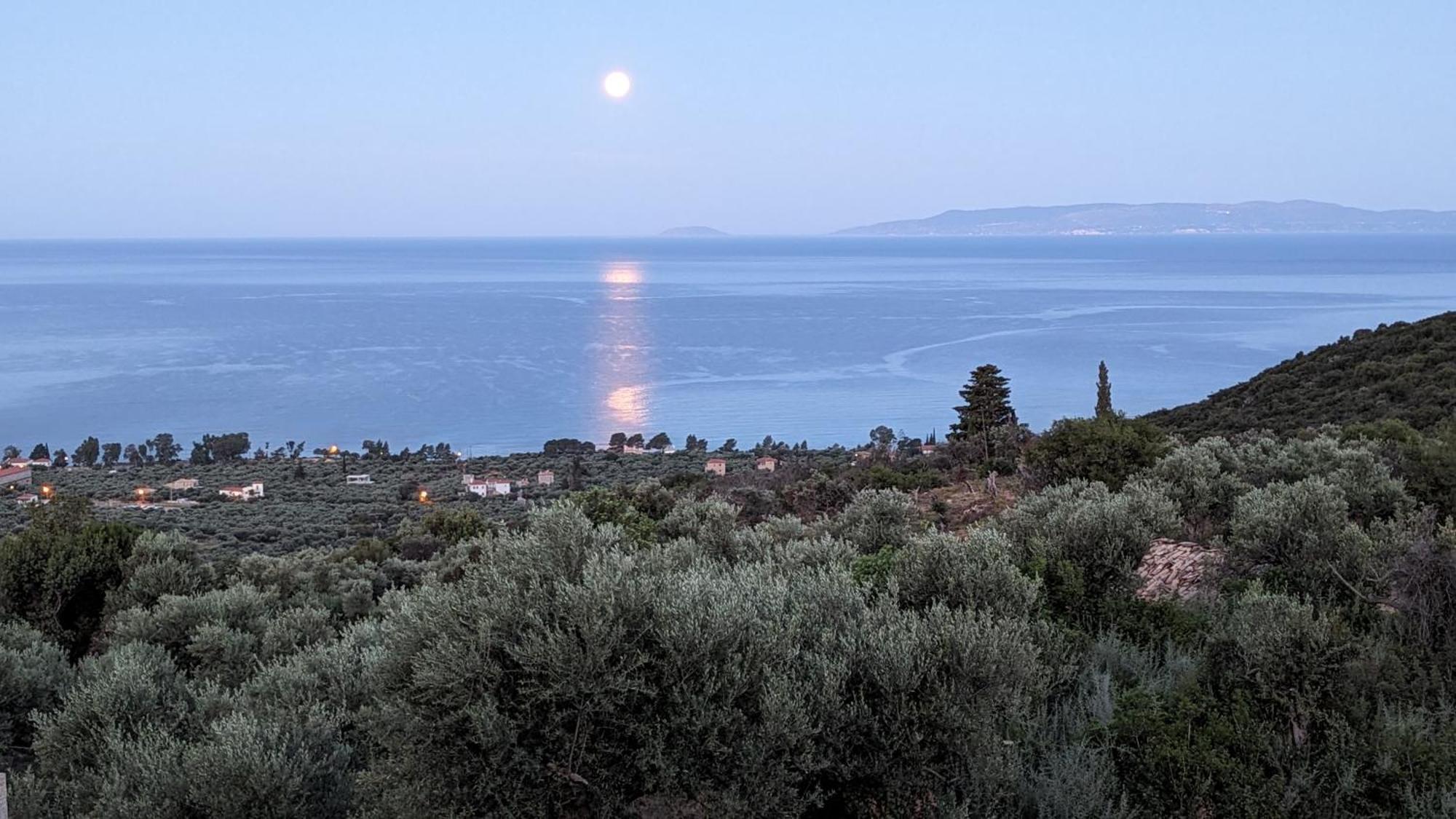 Magnificent, Authentic Private Villa And The Guest House Kardamyli Exterior photo